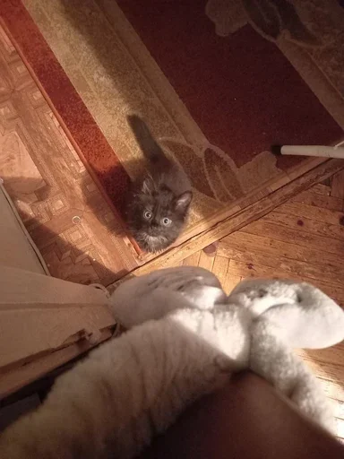 Стикер kokhasyaa - 1