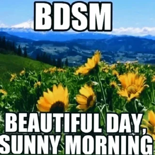 Sticker грубо???да мне по*уй! - 8