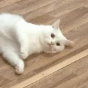 Sticker Кокосик - 11