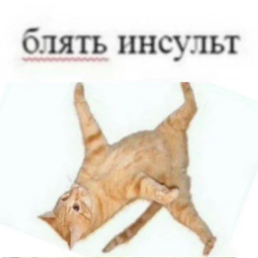 Sticker гавкошмыг - 9