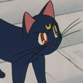 Sticker 🌙Сайлар Мун♥ - 10