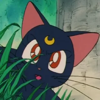 Sticker 🌙Сайлар Мун♥ - 6