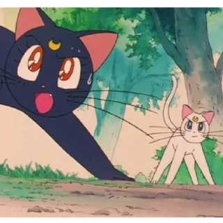 Sticker 🌙Сайлар Мун♥ - 2