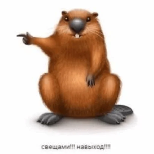 Стикер kokosobdolbos - 1