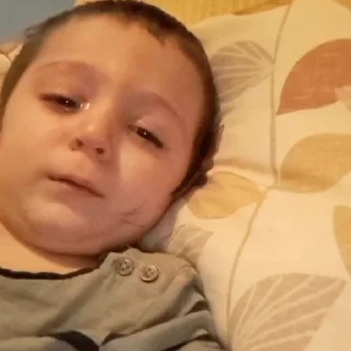 Sticker kokos obdolbos - 3