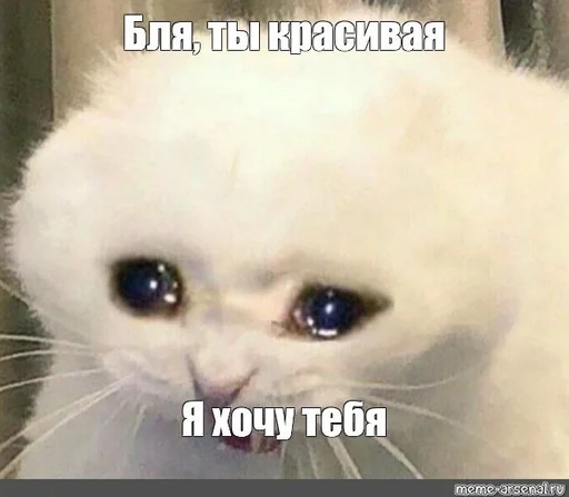 животное млекопитающее СМС