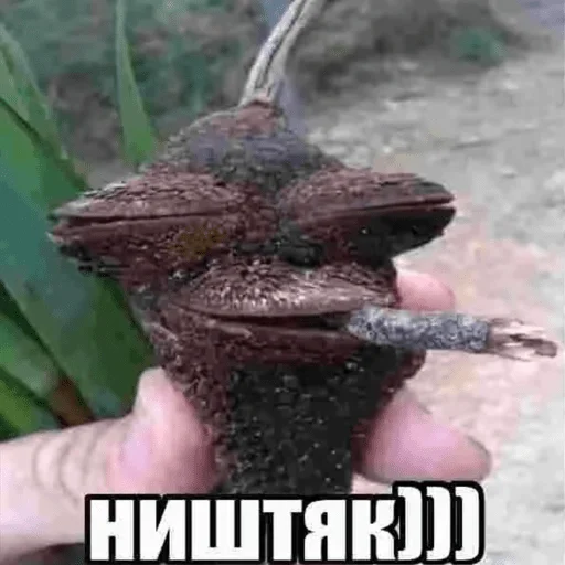 ништяк))) - 