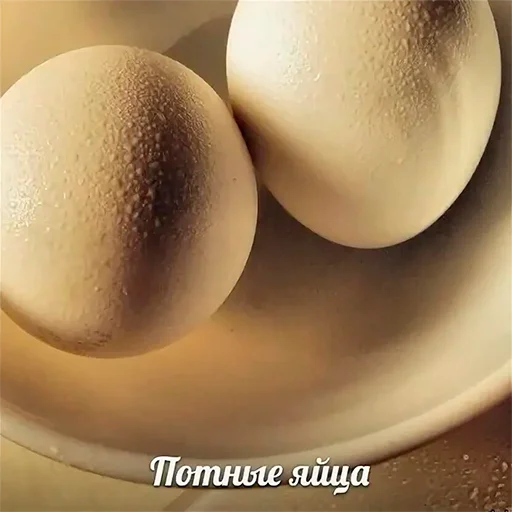 Sticker kolbasa1337 - 1