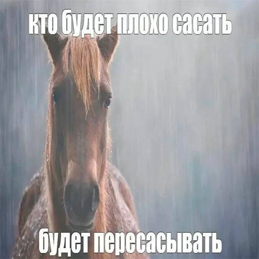 Sticker kolbasa1337 - 1