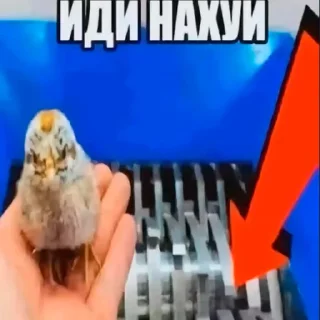 Sticker ништяк))) - 8