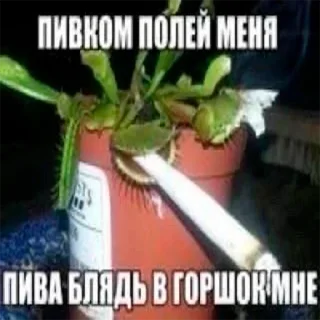 Sticker ништяк))) - 10