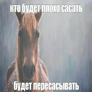 Sticker ништяк))) - 2