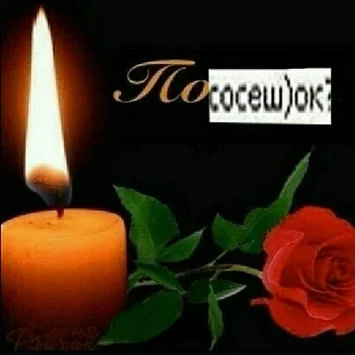 Sticker kolyanegei - 1