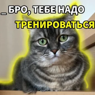 Sticker Комару - 9
