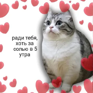 Sticker Комару - 5