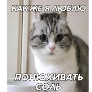 Sticker Комару - 2