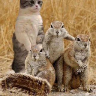 Sticker Комару - 10