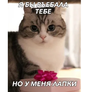 Sticker Комару - 7