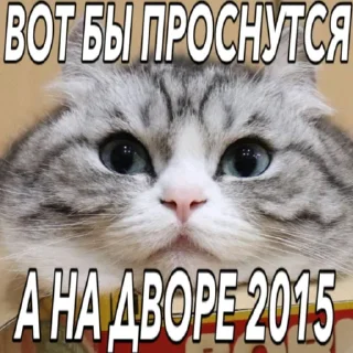 Sticker Комару - 6