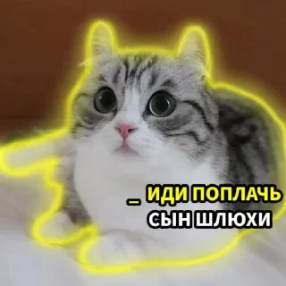 Sticker Комару - 11