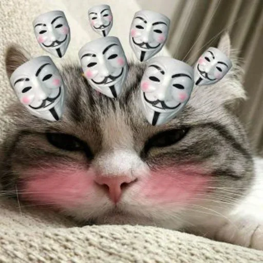 комарик лучшая | @thismedia - 