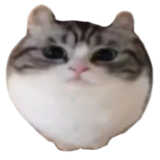 Sticker komarulov - 1