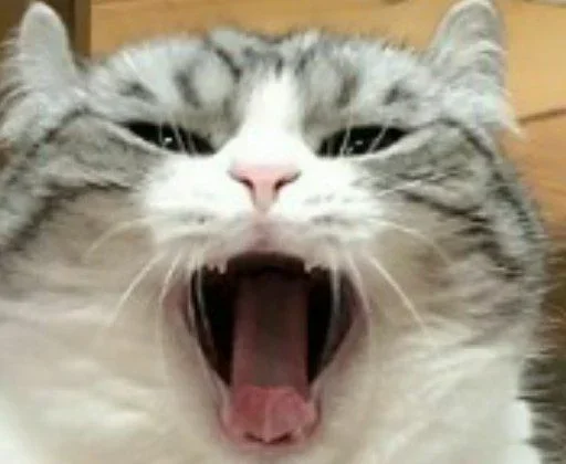 Sticker komarulov - 1