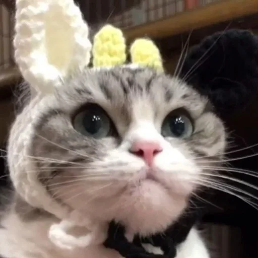 Sticker komarulov - 1