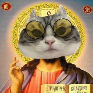 Стикер комарик лучшая | @thismedia - 11