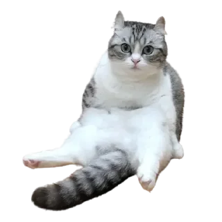 Стикер Komaru pack by @komaru_GIF - 7