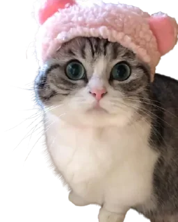 Стикер Komaru pack by @komaru_GIF - 2