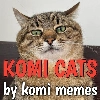 Komi cats - 