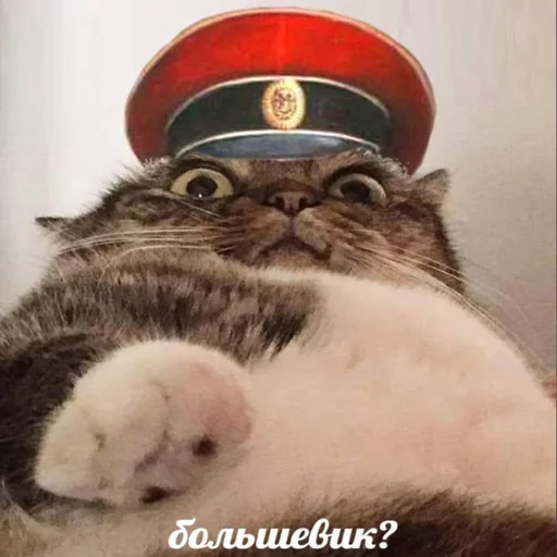 Стикер Коммунизм вперёд! - 7