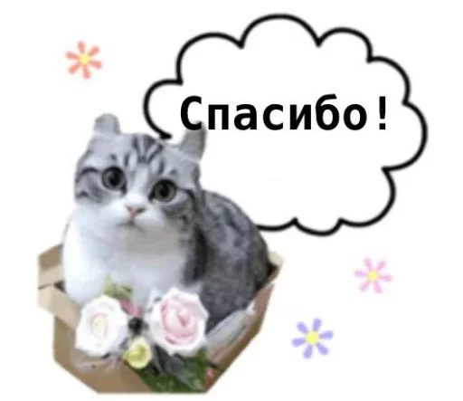 Стикер komugikomaruchantranslate - 1