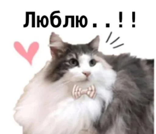 Стикер komugikomaruchantranslate - 1