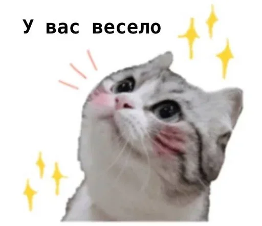 Стикер komugikomaruchantranslate - 1