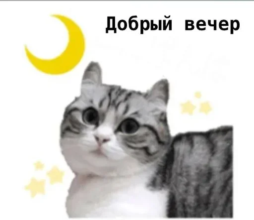 Стикер komugikomaruchantranslate - 1