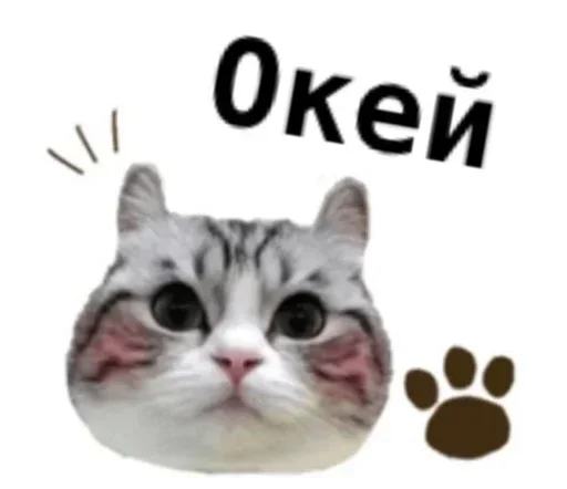 Стикер komugikomaruchantranslate - 1