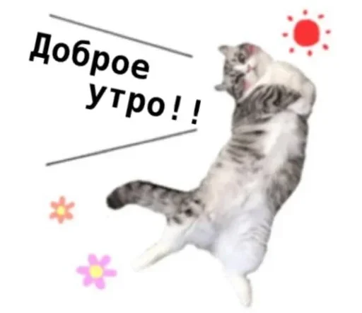 Стикер komugikomaruchantranslate - 1