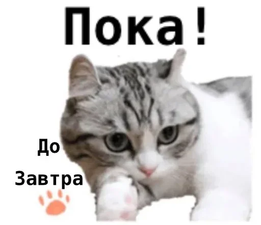 Стикер komugikomaruchantranslate - 1