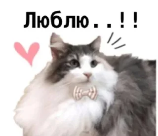 Стикер Перевод: @komaruWorlddik - 10