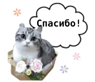 Стикер Перевод: @komaruWorlddik - 11