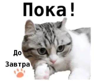 Стикер Перевод: @komaruWorlddik - 1