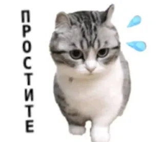 Стикер Перевод: @komaruWorlddik - 3