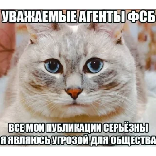 Стикер проводится набор в групировку талибан звоните +79270000740 - 9