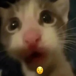 Sticker Чпок - 1