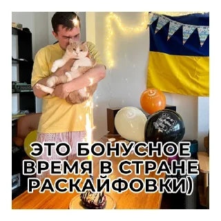 Стикер Не Слонов, а Конев! - 8