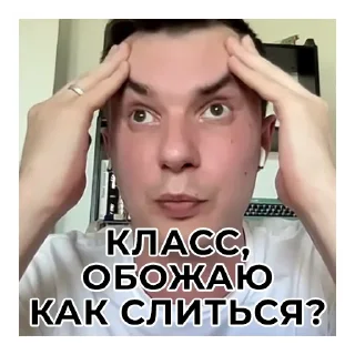 Стикер Не Слонов, а Конев! - 7