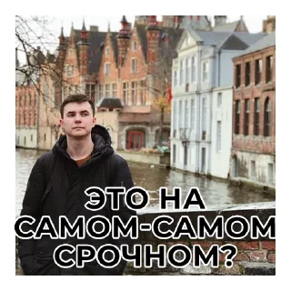 Стикер Не Слонов, а Конев! - 6