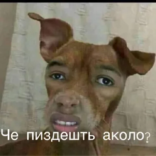 Стикер конфуций :) - 8